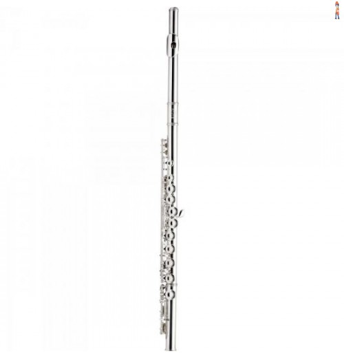 Flauta Transversal Soprano C Hfl-6238S Prata Harmonics