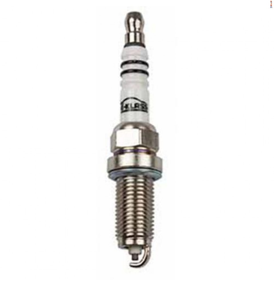 /75017400999555.jpg